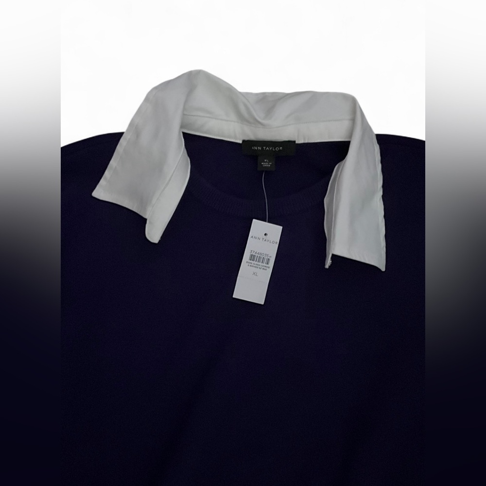 NWT Ann Taylor Purple Sweater XL Gold Button Detail White Collar Trim Knit Top - Picture 2 of 3